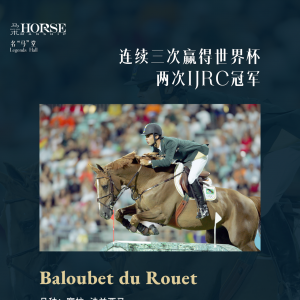 “人馬合一”的奇跡，是靠馬的天賦還是騎手的技巧？