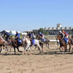 速度點燃錫林郭勒：2025中國速度賽馬積分賽激情上演
