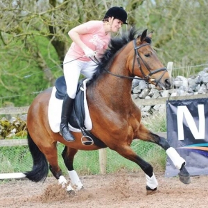 在騎乘中應(yīng)對馬匹受驚：讓“放松”成為一項技能