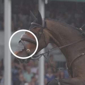 有效性尚存爭議，使用馬鼻貼是心理安慰嗎？