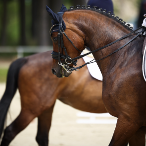從必須到可選：大獎(jiǎng)賽水勒改革意味著什么？