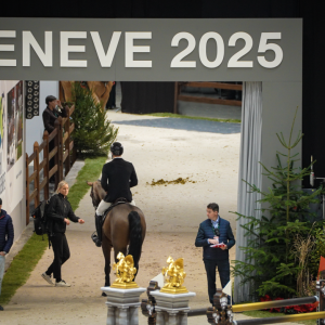 日內(nèi)瓦馬術(shù)節(jié)前線直擊：規(guī)則變動(dòng)牽動(dòng)騎手策略，大獎(jiǎng)賽看點(diǎn)全解析 ... ...